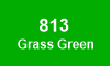 813 Grass Green
