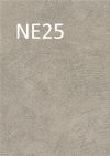 NE25 Raw Taupe /O/Concrete/Urban