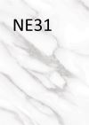 NE31 Statuary White /G/Stone/Marble