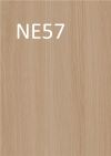 NE57 Sandy /O/Wood/Light