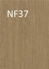 NF37 Gianduia Oak /O/Wood/Medium