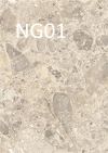 NG01 Lombarda Bianco /G/Stone/Terrazzo