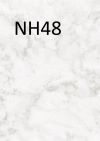 NH48 Opal White /O/Stone/Marble