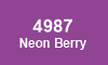 4987 Berry 4987 Berry
